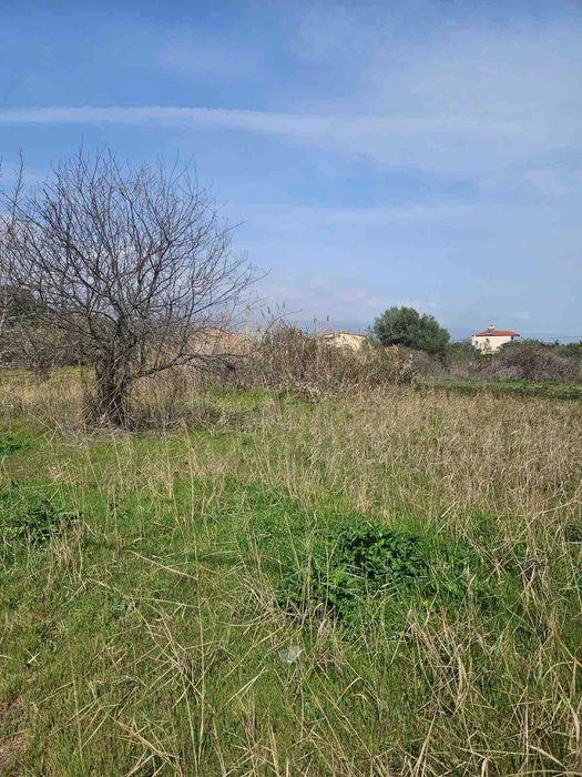 Парцел 1600 кв.м, Неа Врасна