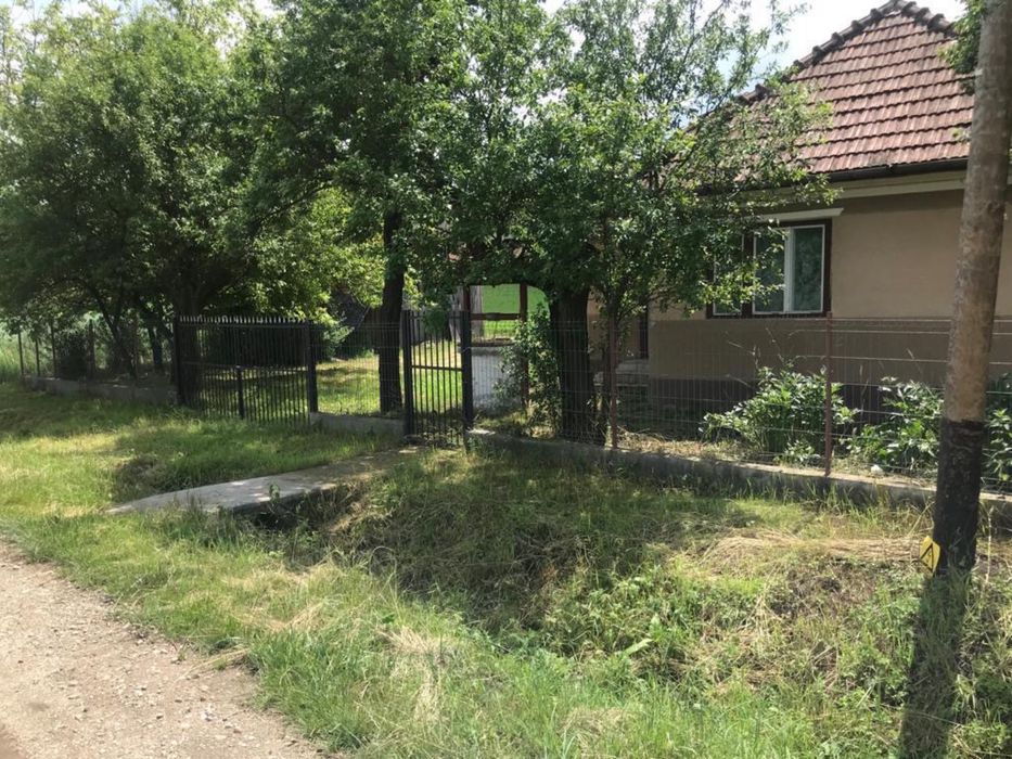 Vand casa in Borsa Cluj