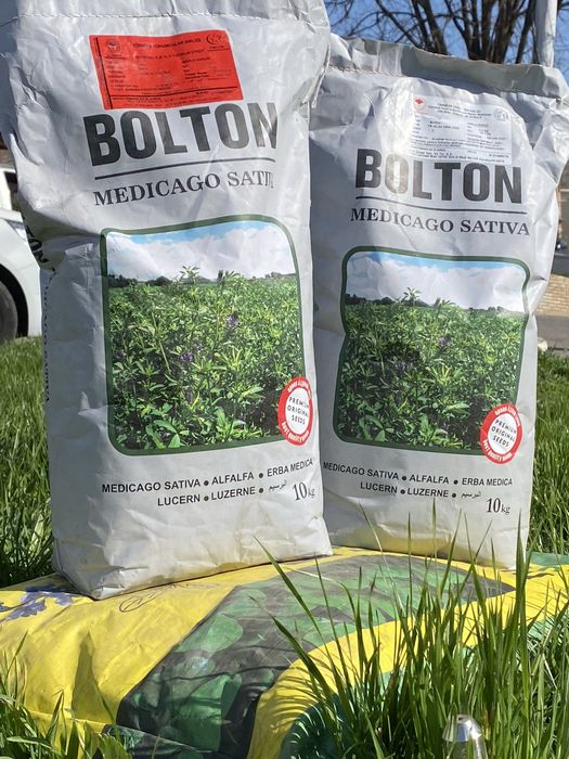 Беда Уруг [TURKIYA] Optim