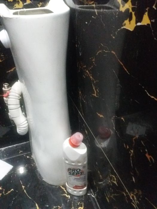 раковина с пьедесталом