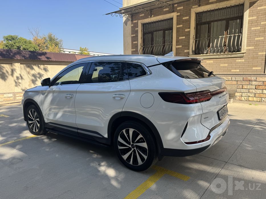 Byd champion 2024 gibrit 150 talik sotiladi