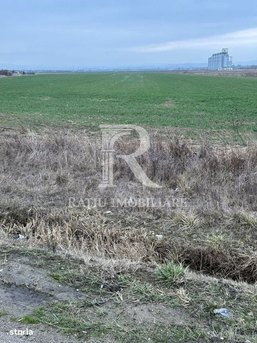 Teren de inchiriat | 20,088 ha | Sacadat | Bihor