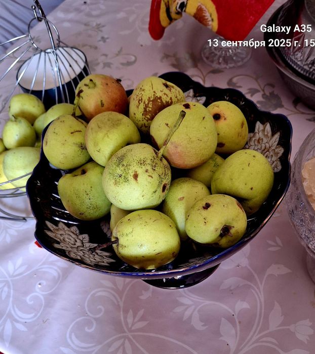 Чёрный  мадонна фаза для  фруктов