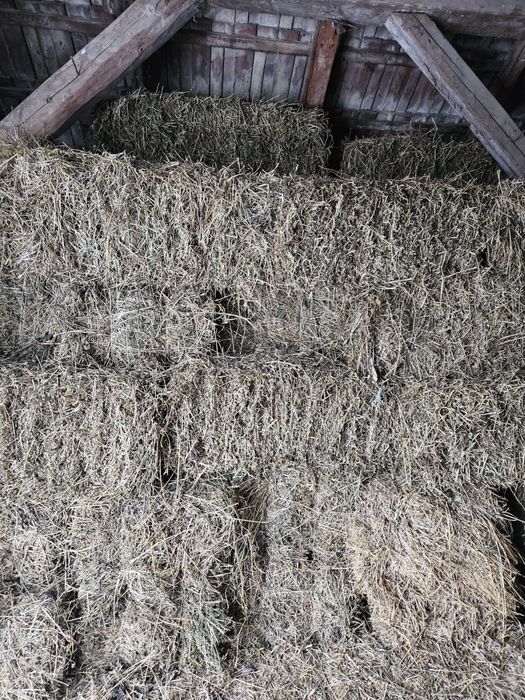 Vand baloti de lucerna