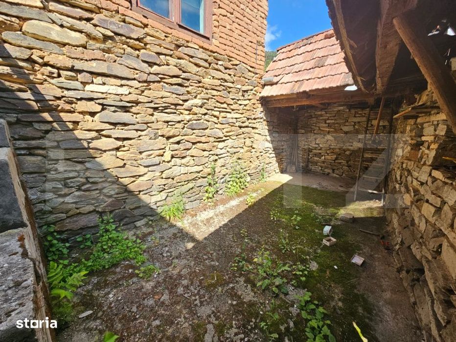 Casa traditionala - o investitie cu potential de dezvoltare, Capalna,