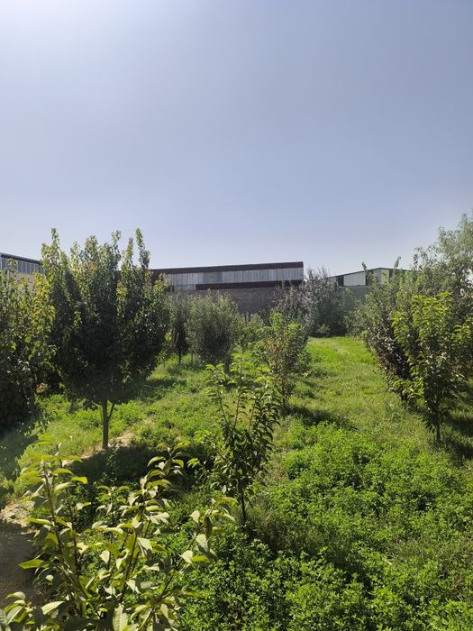 Участка 13 сотик