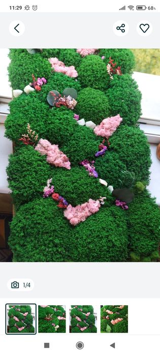 Озеленение стабилизированным мхом