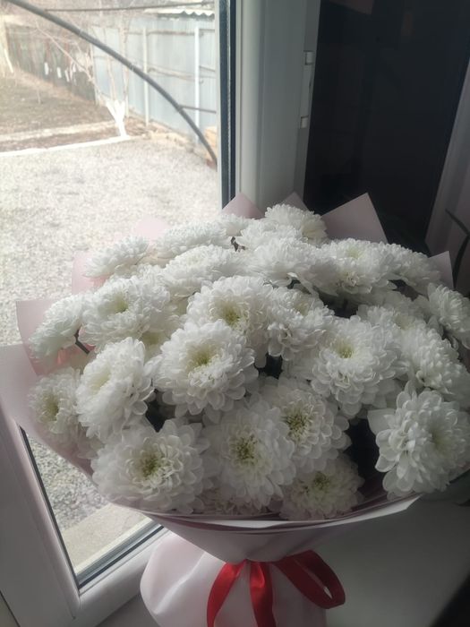 Продам цветы белые