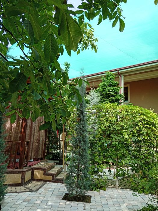 Quyoshga setka va mikrakilimat