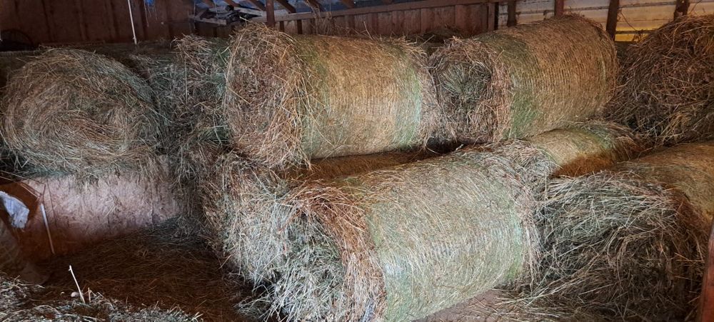 Baloti lucernă rotunzi