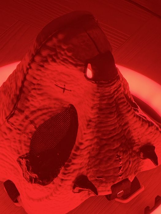 маска раптора, фурри