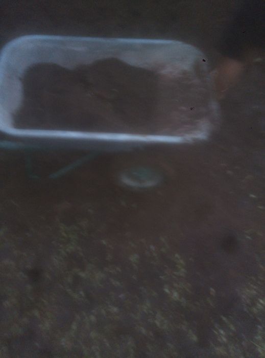 Червей для рыбалки