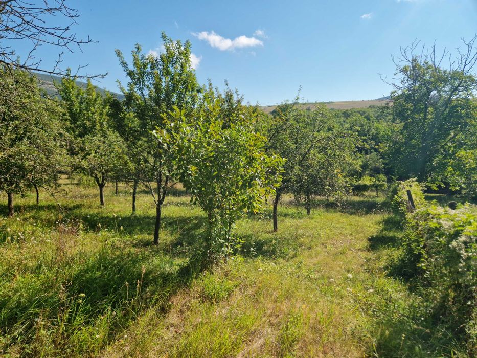 Продава се Парцел в с. Горна Козница, Област Кюстендил - 1485 кв.м за 5 €/кв.м - Снимка #13