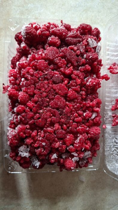 Malina bor / Малина