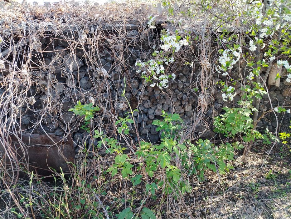 Отдам дрова даром