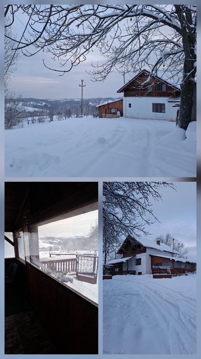 Cabana fara vecini 13 pers ciubar si masa de biliard