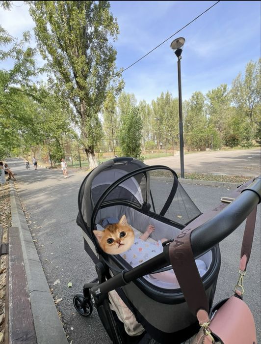 Carucior 3 in 1 cu scoica auto iSize