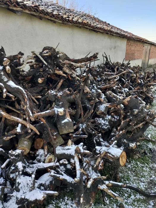 Продавам кютюци от овошна градина