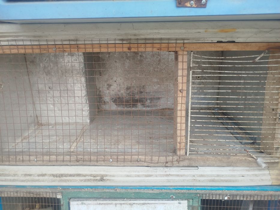 Продам Брудера для цыплят