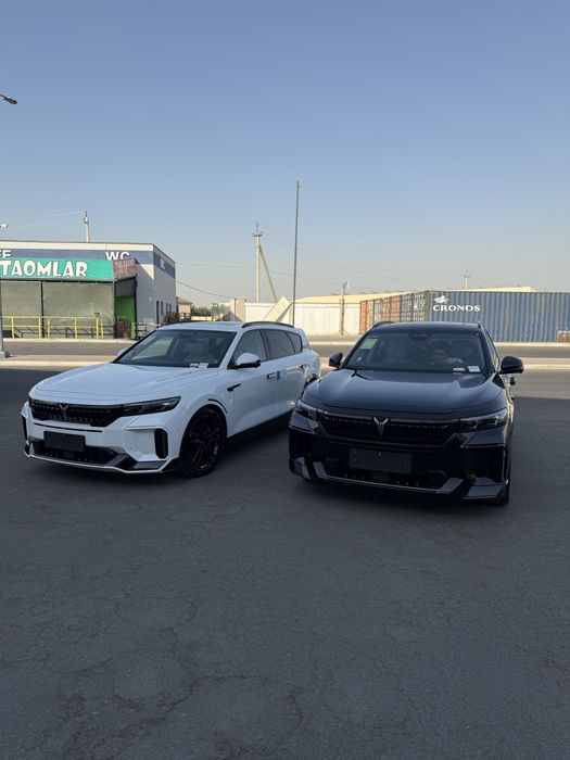 Voyah free appollo tech 318km Restayling