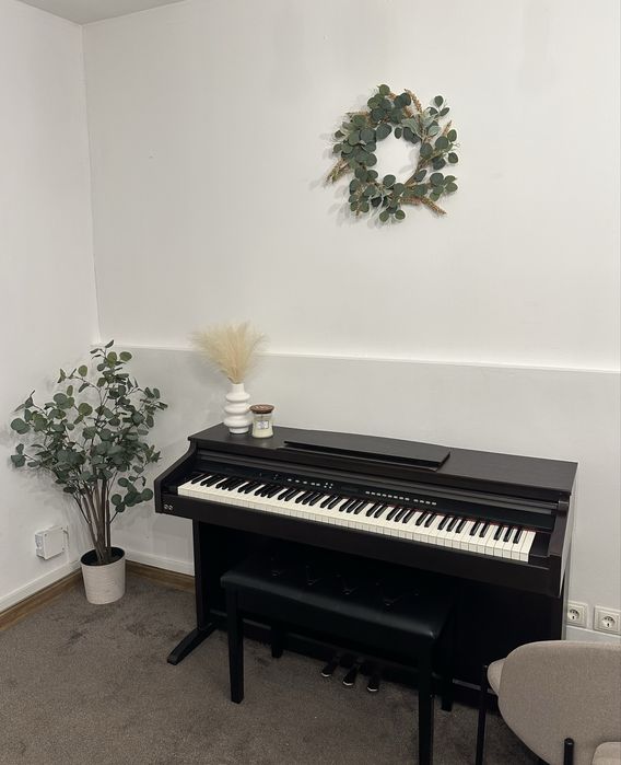 Cursuri de CANTO și PIAN