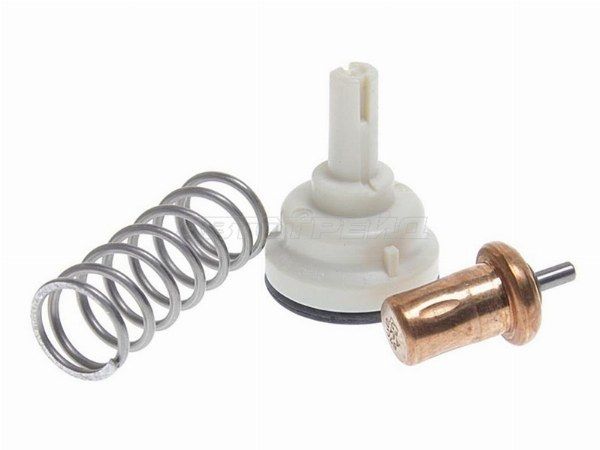 Термостат Skoda Fabia