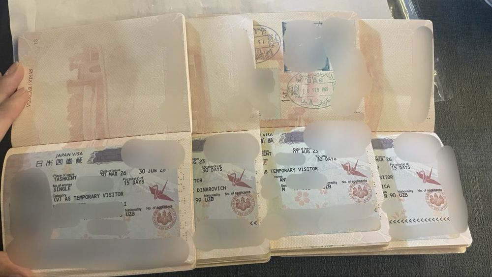 Визы в Японию — мы помогаем пройти сложный путь!