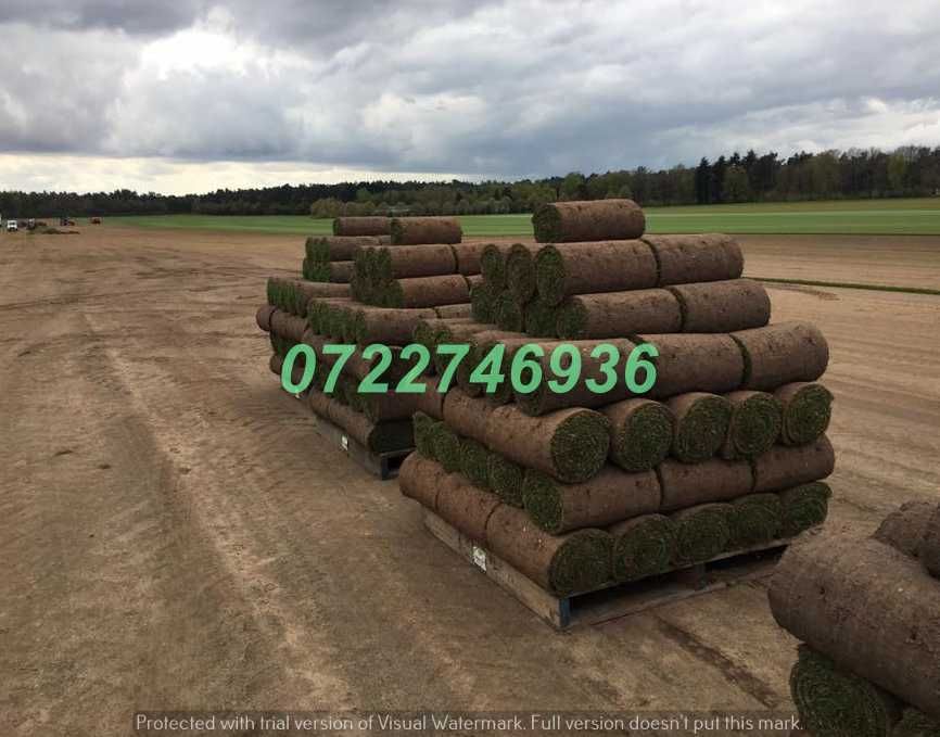 Gazon Verde Natural pentru Curți Moderne