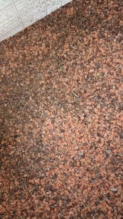 Отходы Отруби Колоски Зерноотходы