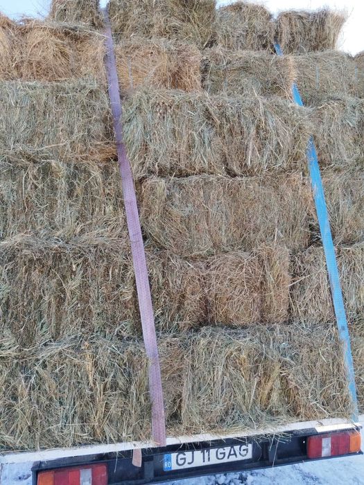 Baloti de fan 20 lei bucata