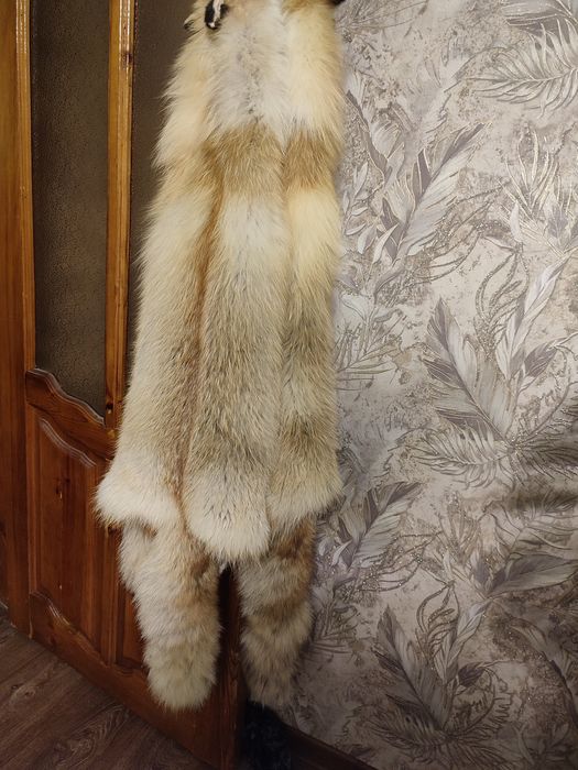 Продам мех рыжей лисы 20000