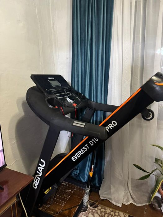 GENAU EVEREST D1000S Pro. Электрическая.