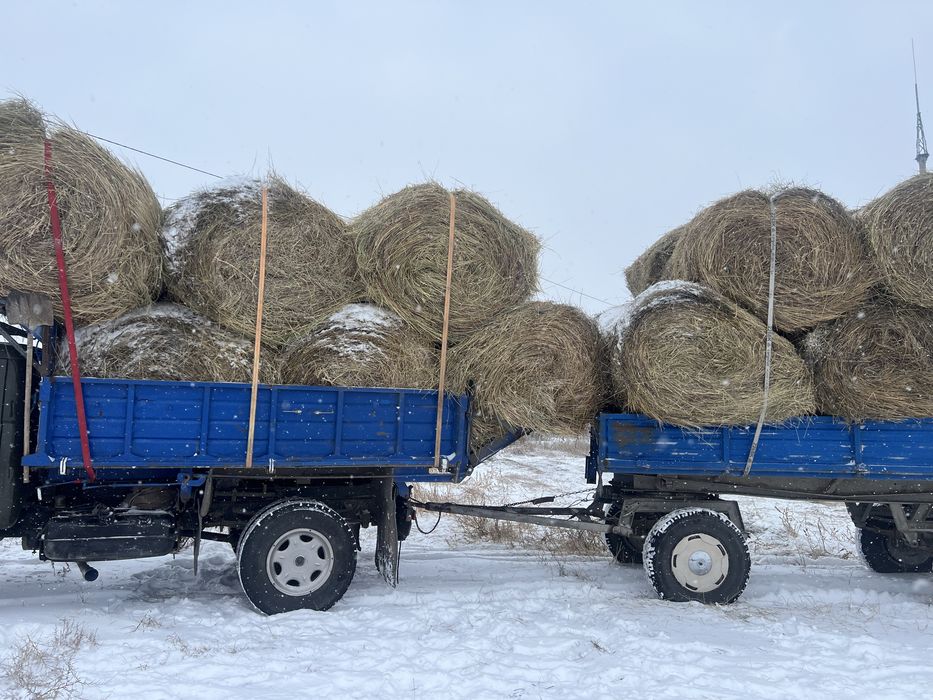 Продаю сено в рулонах
