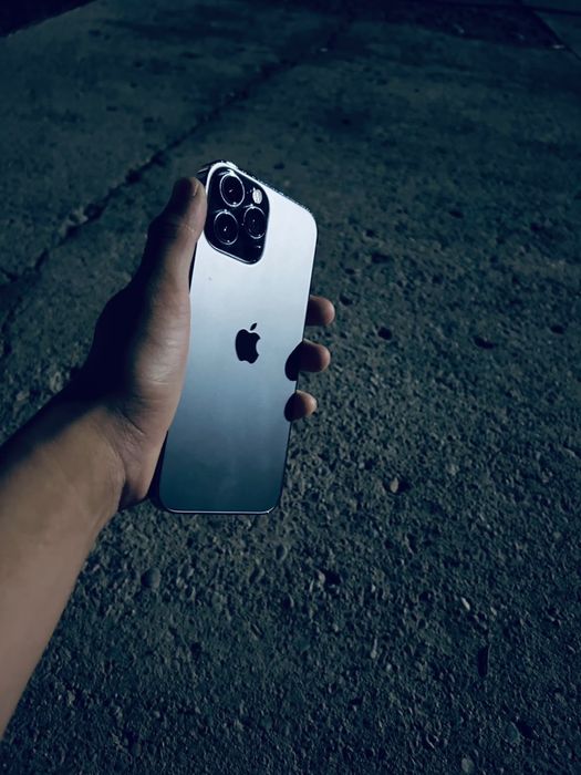 iphone13 pro max
