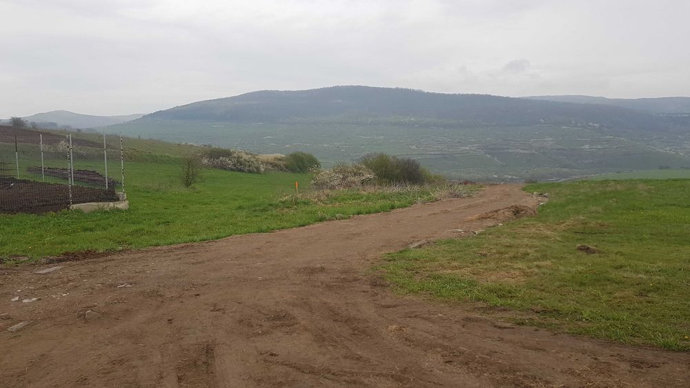 Vand 3750mp teren  cu PUZ,intravilan