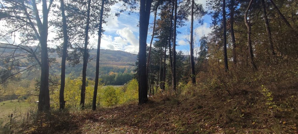 Teren munte Vaideeni  VL– 750 mp | Asfalt + Utilități!  Ideal  Pensi