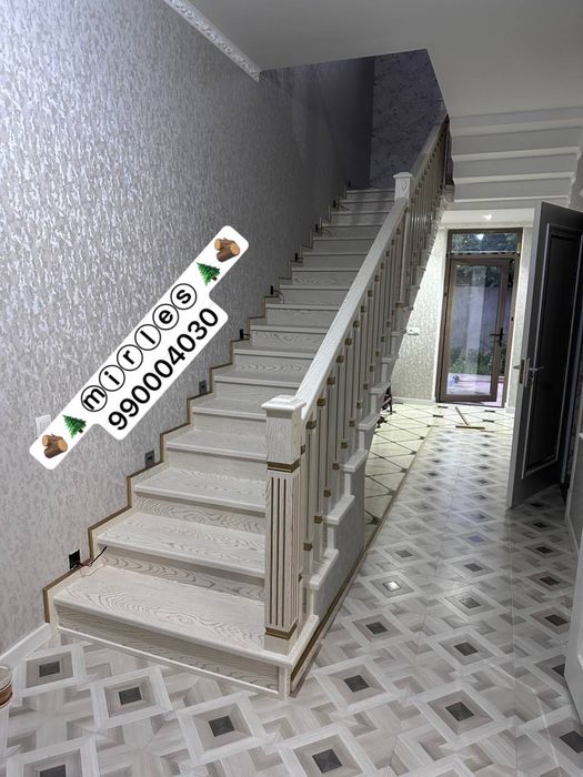 Zina poyalar lesnisa