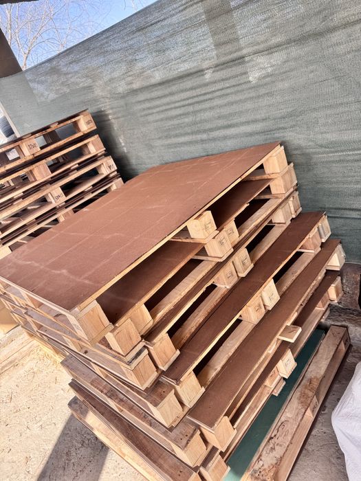 Paddom paddomlar yangi