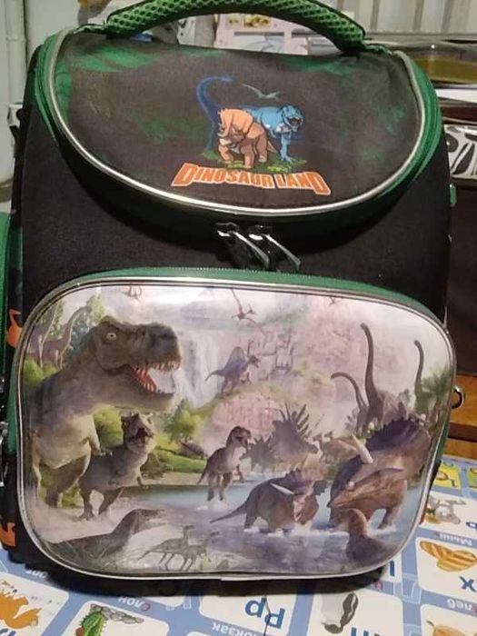 Рюкзаки школьные