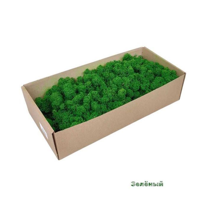 Стабилизированный Мох Оптом