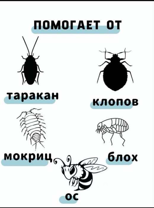 PROTON-отрава от всех видов насекомых