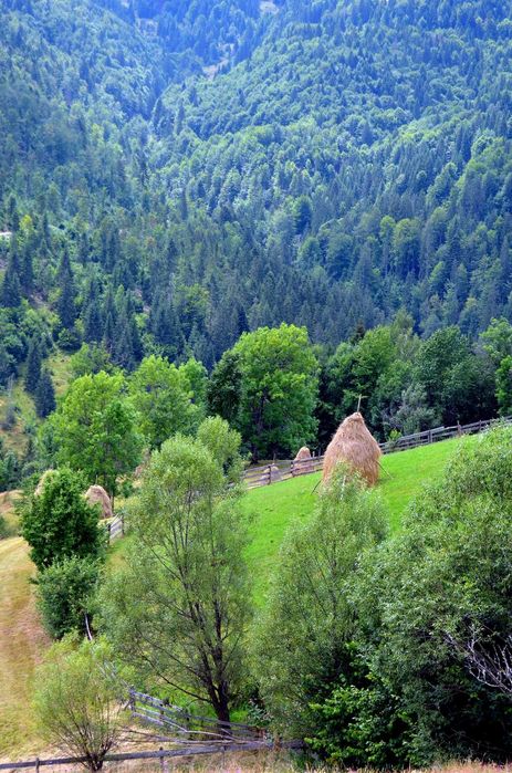 vand locuri de casa , cabana