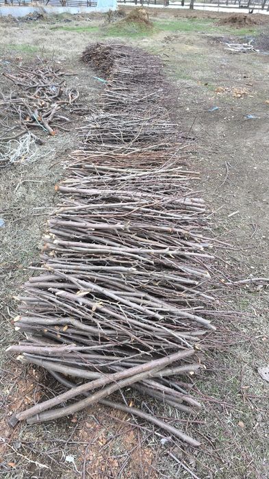 O'tin 1 gazel  narhi kelishamiz