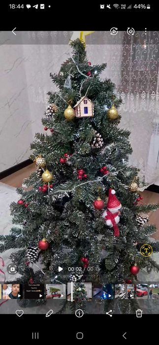 Елка, Ёлка новогодняя