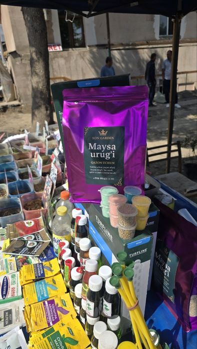 Gazon (maysa) urug‘i bor/семена газона!