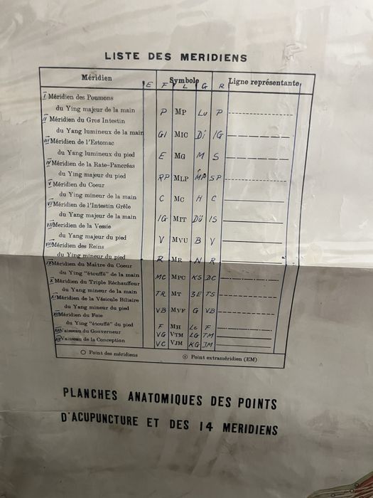Planse Anatomie Acupunctura 12 bucati