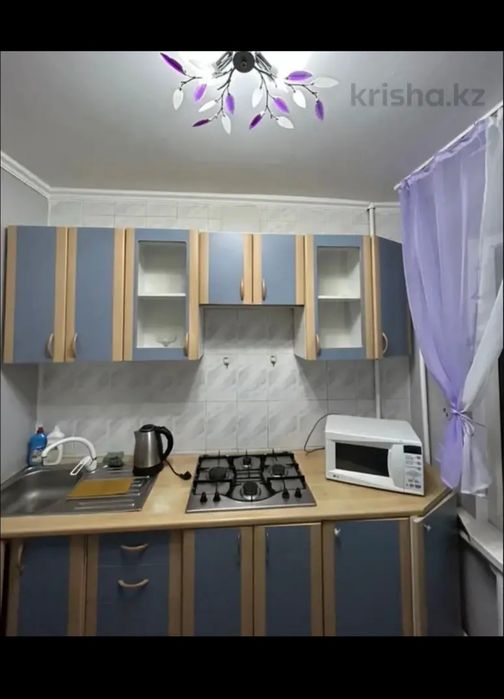 Посуточно, почасовой