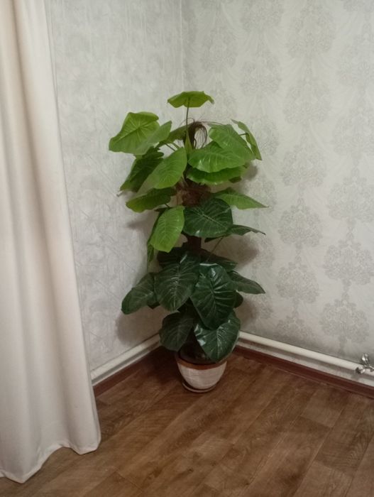 Продам искусственные пальмы