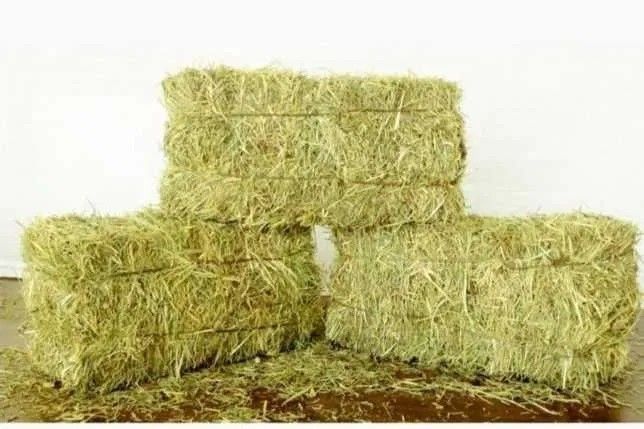 Samon pres va beda sotiladi