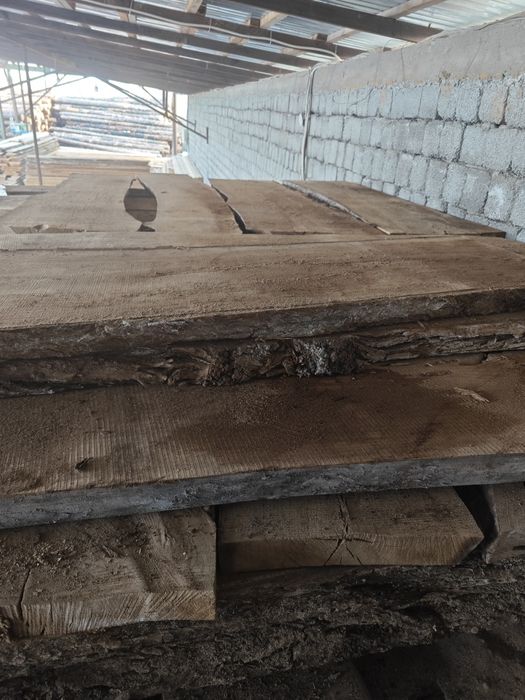 Карагач сосна сухие